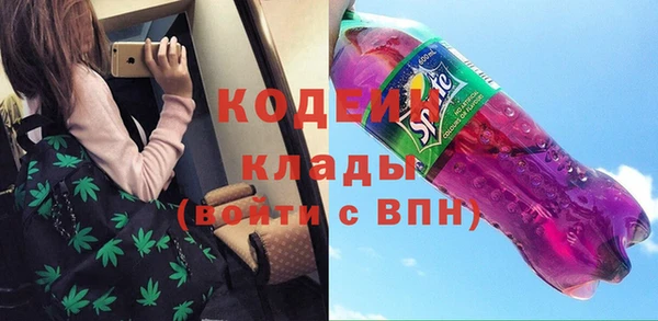 гидра Инта