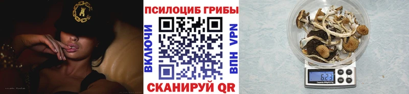 купить закладку  Кинешма  Галлюциногенные грибы мухоморы 