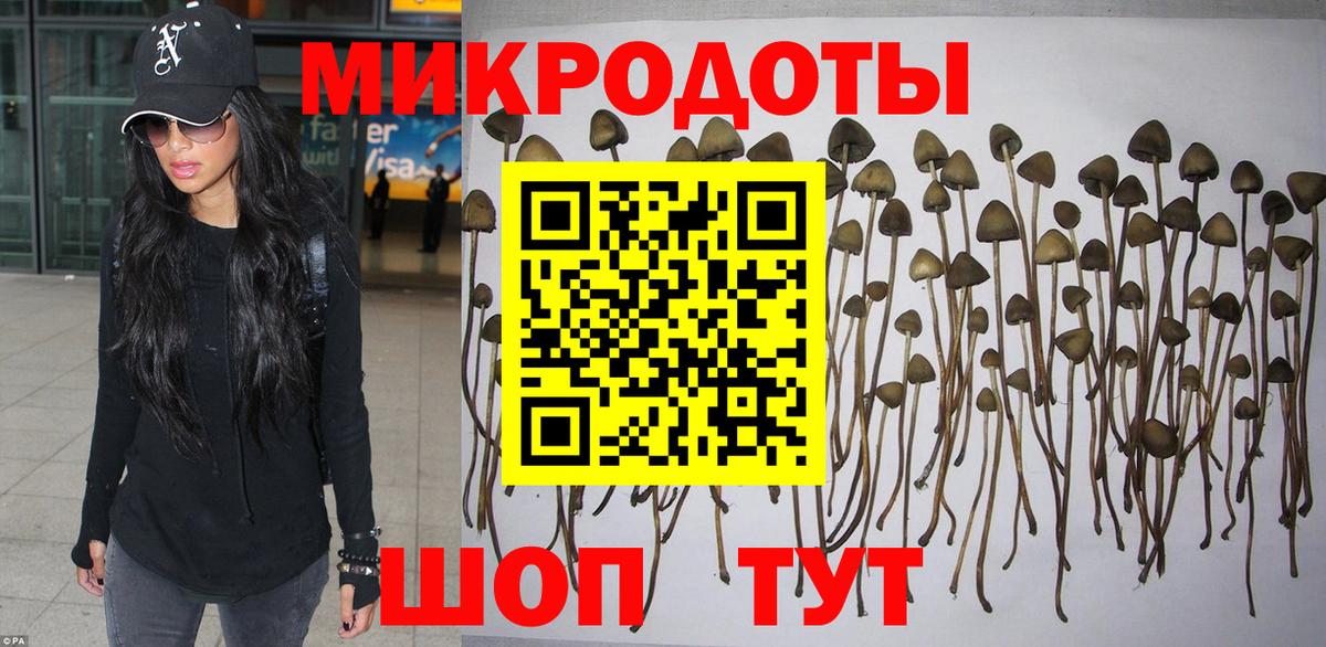 Галлюциногенные грибы Magic Shrooms Кинешма